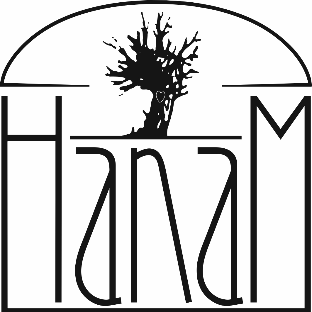HanaM Agencja Reklamowa Tadeusz Bystrzycki Logo