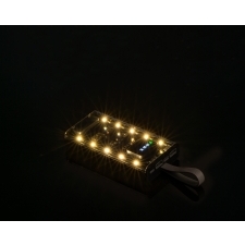 Power bank 10 000 mAh DARWIN